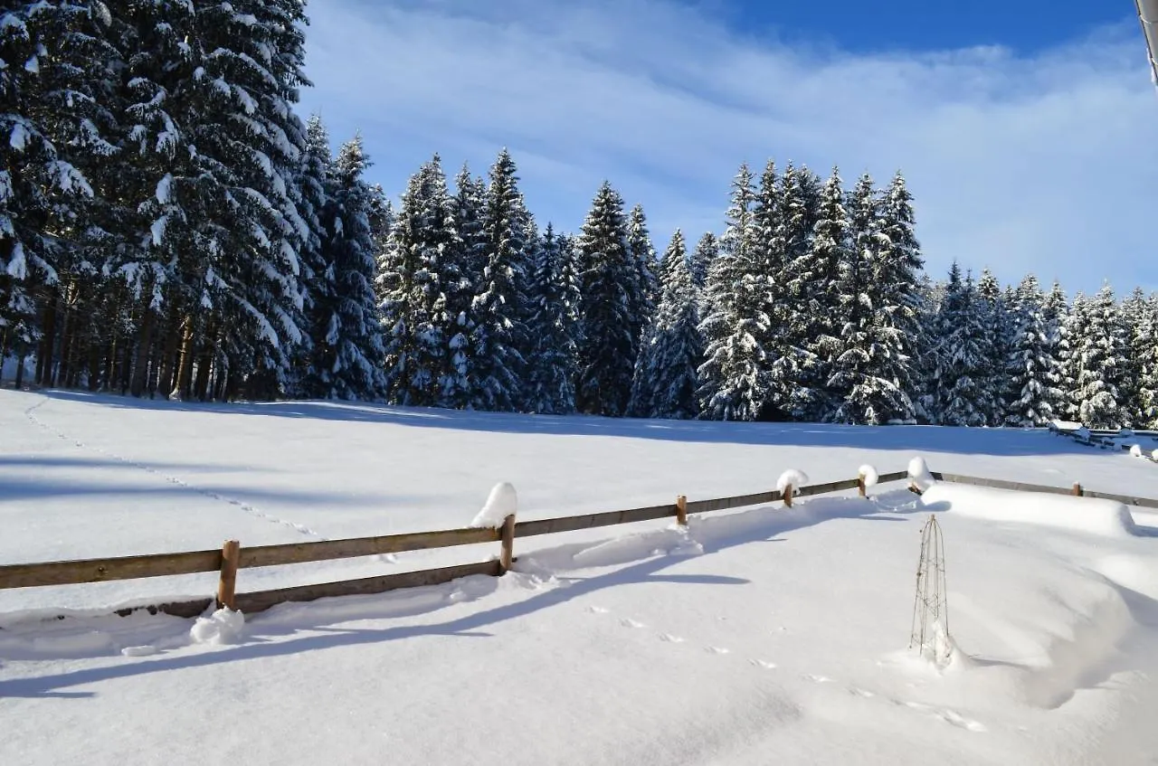 Holiday home Feriendorf Via Claudia Haus 75 Waldromantik Lechbruck
